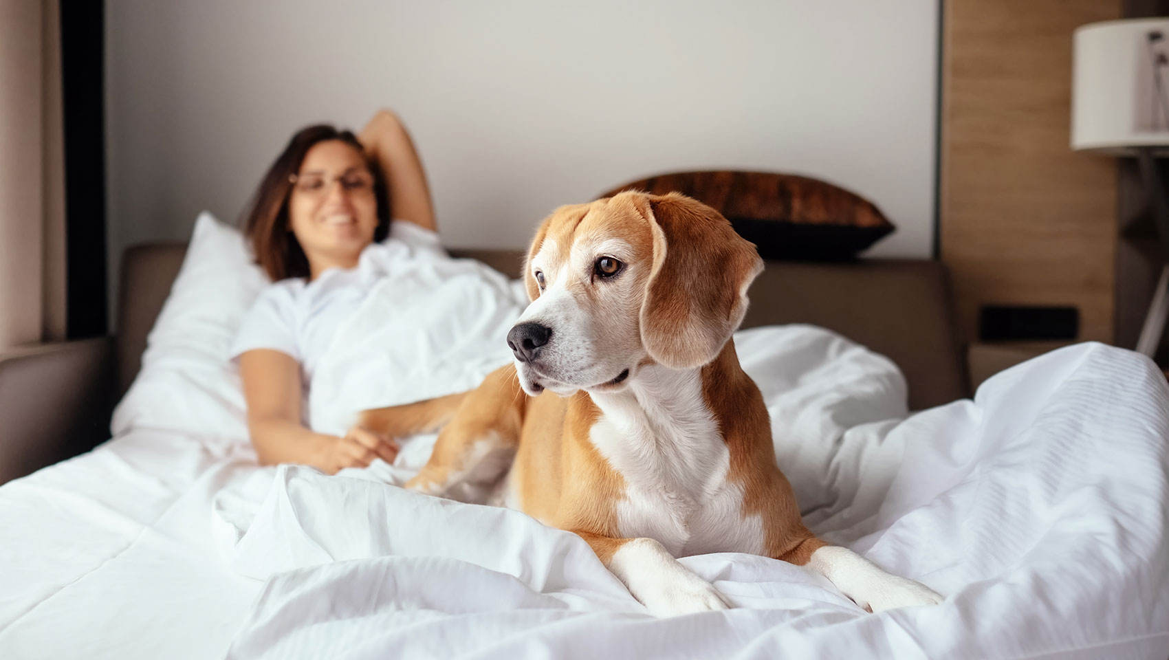 woman on hotel bed with dog